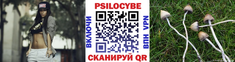 Псилоцибиновые грибы GOLDEN TEACHER  купить наркоту  Рославль 